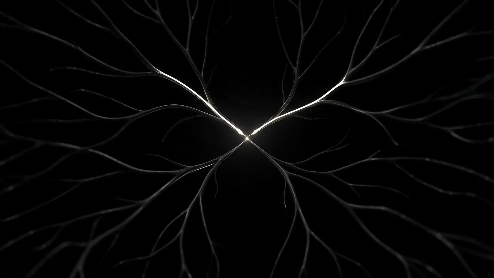 Nucleus OS frame
